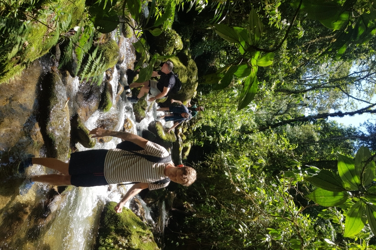 Van Medellin: begeleide wandeltocht in de natuur