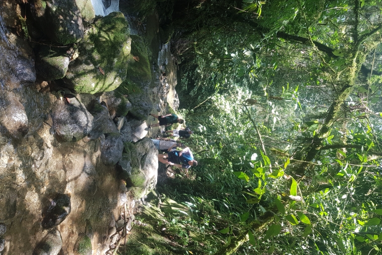 Z Medellin: wycieczka z przewodnikiem w przyrodzieZ Medellin: wycieczka z przewodnikiem po przyrodzie