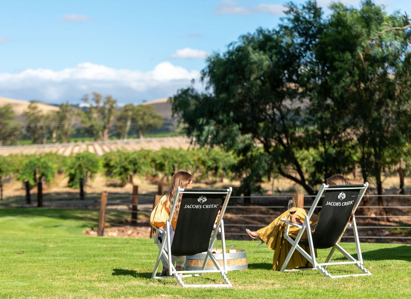 Barossa Valley: Perfekt picnic i Jacob's Creek