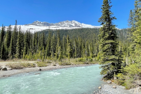 From Calgary: Banff & Yoho National Parks Private Day Tour