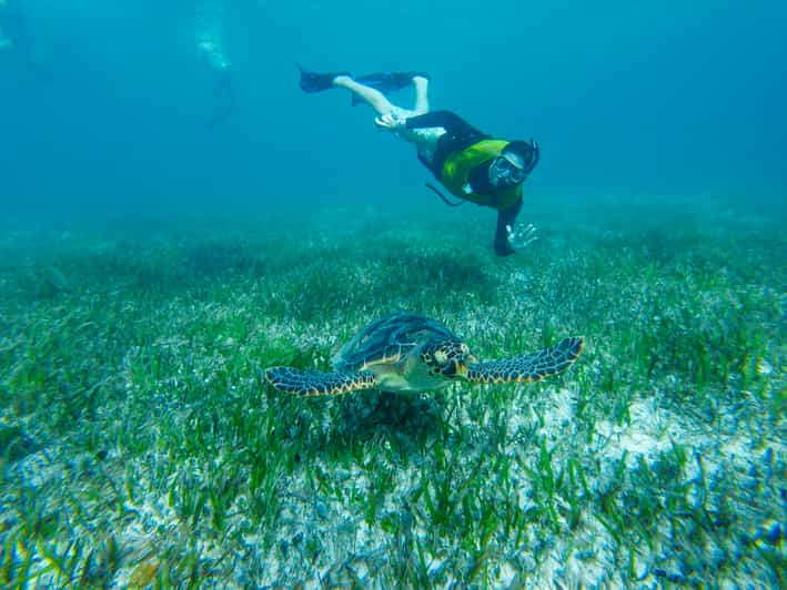 Cancun Private Snorkeling Tour with Pickup and Dropoff GetYourGuide