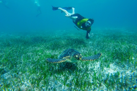 Cancun: privé-snorkeltour met ophalen en wegbrengen