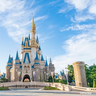 Tokyo Disney Resort: 1-Day Passport