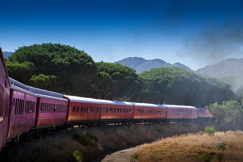 Da Città del Capo: biglietto del treno a vapore per il mercato ferroviario di Elgin