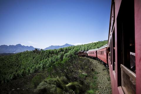 Från Kapstaden: Ångtågsbiljett till Elgin Railway Market