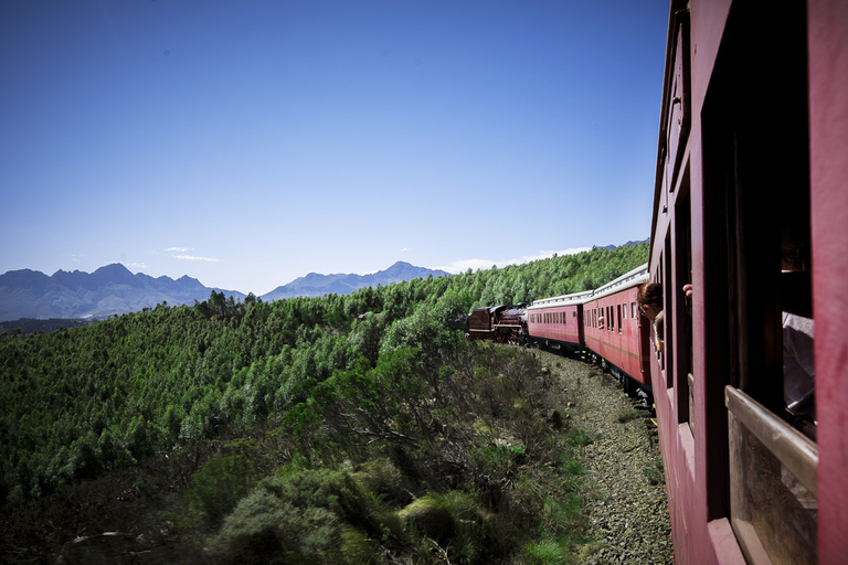 De Cape Town: billet de train à vapeur pour le marché ferroviaire d'Elgin