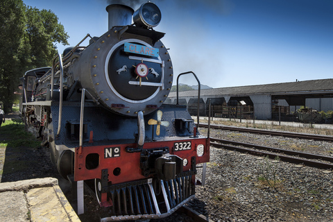 From Cape Town: Steam Train Ticket to Elgin Railway Market