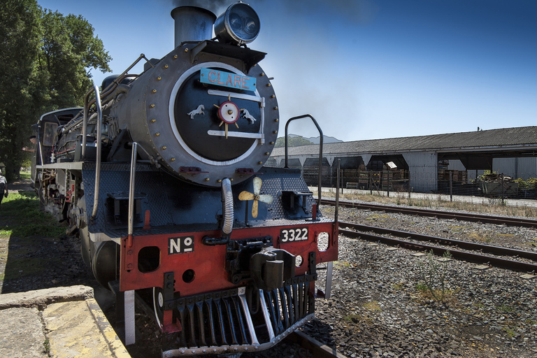 Desde Ciudad del Cabo: Boleto de tren de vapor al mercado ferroviario de Elgin