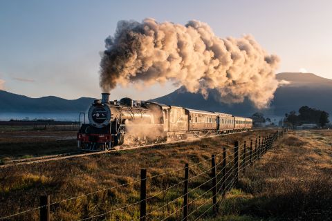 Da Città del Capo: biglietto del treno a vapore per il mercato ferroviario di Elgin