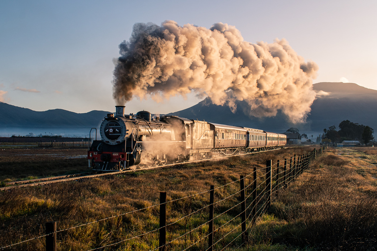 Desde Ciudad del Cabo: Boleto de tren de vapor al mercado ferroviario de Elgin