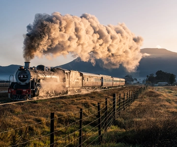 From Cape Town: Steam Train Ticket to Elgin Railway Market