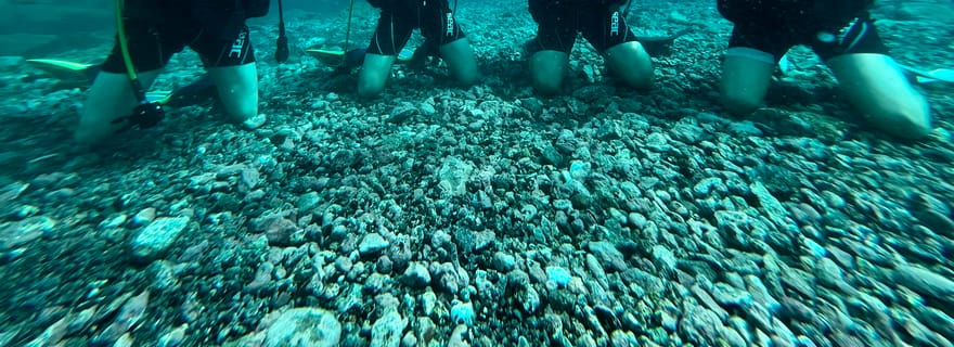 Tenerife : Licence de plongée en une journée