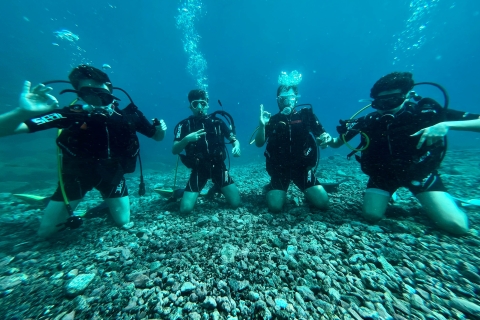 Santa Cruz de Tenerife: cours de licence de plongée sous-marine novice