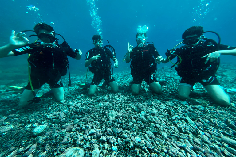 Santa Cruz de Tenerife: cours de licence de plongée sous-marine novice