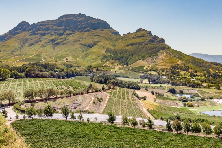 Depuis Cape Town : visite guidée privée des vignobles avec prise en chargeVisite guidée privée des vignobles avec prise en charge à l'hôtel