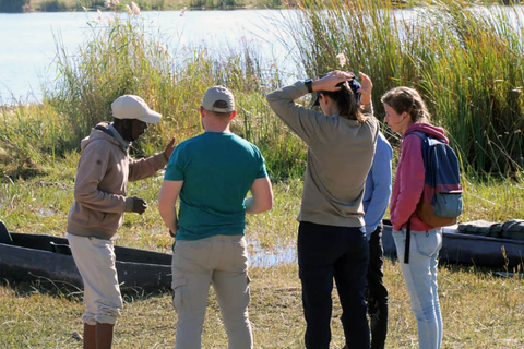 Maun: 2 noce lub 1 noc na kempingu w delcie Okavango3 dni 2 noce