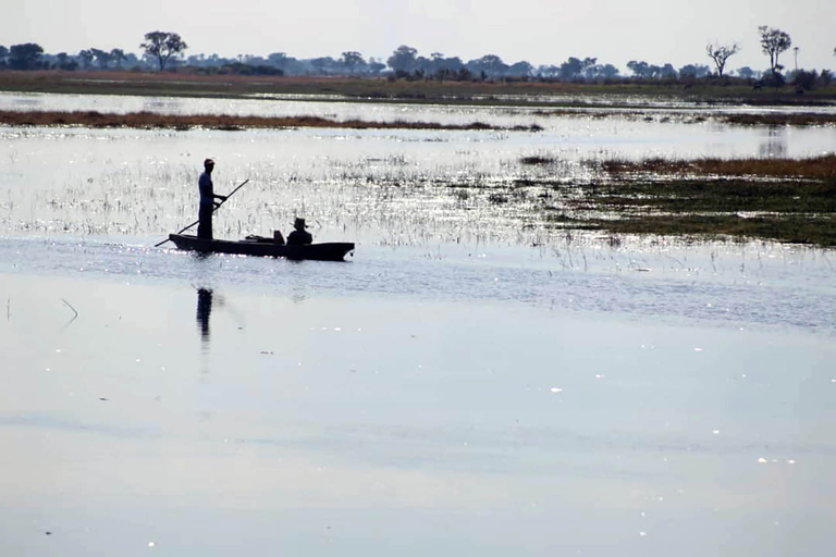 Maun: 2 noches o 1 noche de campamento en el delta del Okavango3 Días 2 Noches