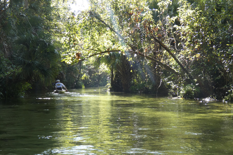 Orlando: Small Group Rock Springs Run Kayak Tour Orlando: Rock Springs Run Kayak Tour with Picnic Lunch