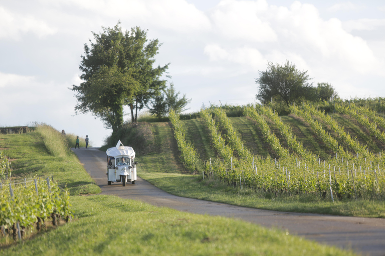 Ginevra: tour dei vigneti e degustazione di vini in TukTuk