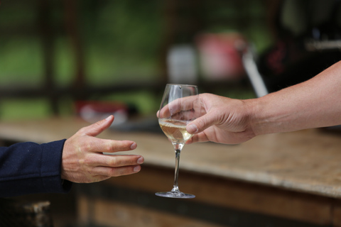 Ginevra: tour dei vigneti e degustazione di vini in TukTuk