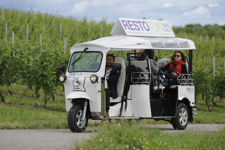 Ginevra: tour dei vigneti e degustazione di vini in TukTuk