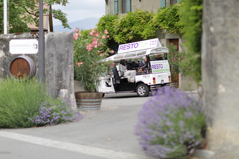 Ginevra: tour dei vigneti e degustazione di vini in TukTuk