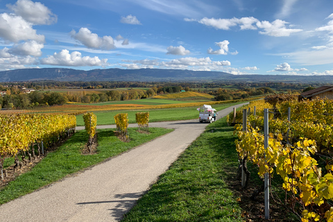 Ginevra: tour dei vigneti e degustazione di vini in TukTuk