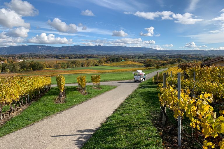 Ginevra: tour dei vigneti e degustazione di vini in TukTuk