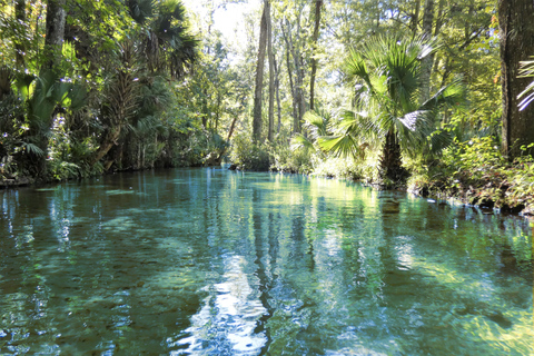 Orlando: Small Group Rock Springs Run Kayak Tour Orlando: Rock Springs Run Kayak Tour with Picnic Lunch