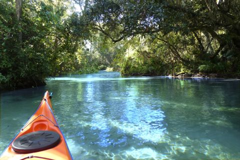 Orlando: Rock Springs Run Kayak Tour met picknicklunch