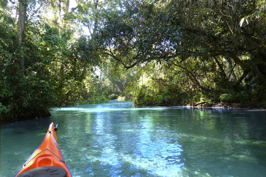 Orlando: Kleine Gruppe Rock Springs Run Kajaktour. Foto: GetYourGuide