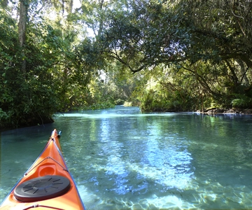 Orlando: Small Group Rock Springs Run Kayak Tour