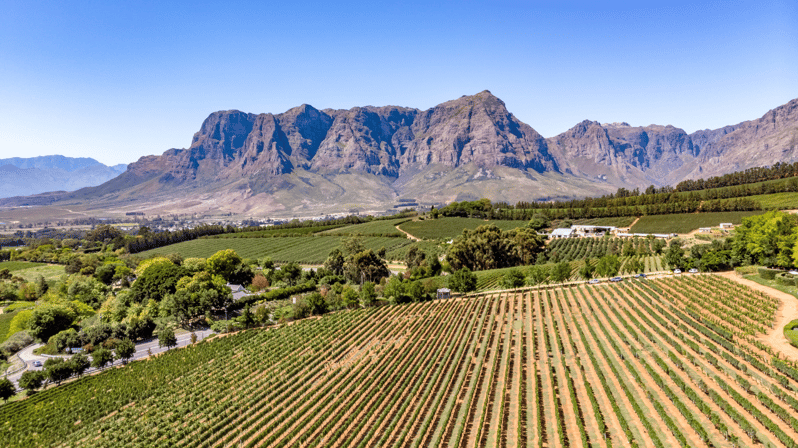 Von Kapstadt Aus: Private Geführte Winelands-Tour Mit Abholung ...