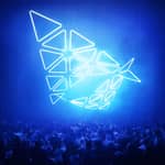 Berlino: biglietto d'ingresso per DARK MATTER Experience KOLLEKTION
