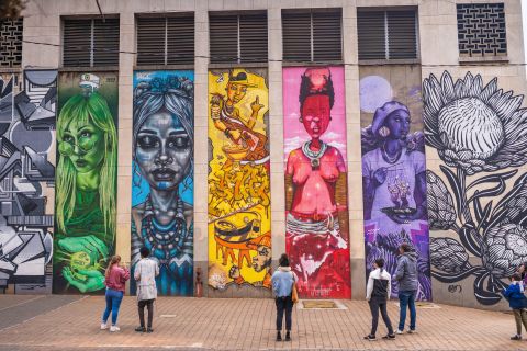 Johannesburg: Braamfontein Street Art Guided Walking Tour