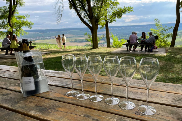 Champagne: Private Tour of Veuve Clicquot, Moët & Ruinart