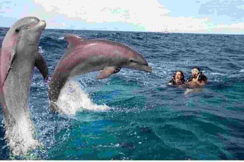 Mnemba Dolphin tour and sea turtles sanctuary with fruits Mnemba Dolphin tour and sea turtles sanctuary with fruits