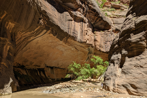 De Las Vegas: visite en bus du parc national de Zion avec temps libre