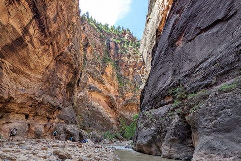 Desde Las Vegas: recorrido en autobús por el Parque Nacional Zion con tiempo libre