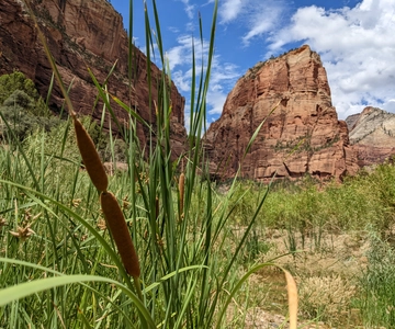 From Las Vegas: Zion National Park Small Group Adventure