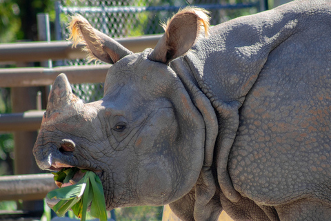 Orlando: Central Florida Zoo Skip-the-Line Ticket