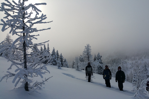 حديقة بانف الوطنية: تجربة المشي بالأحذية الثلجية في صن شاين ميدوز