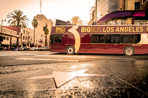 Los Angeles: TMZ Celebrity Tour e excursão hop-on hop-off de 1 dia