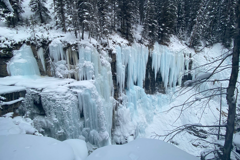 Desde Banff Paseo guiado sobre hielo por el Cañón Johnston