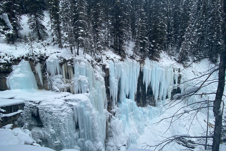 From Banff: Johnston Canyon Guided Icewalk