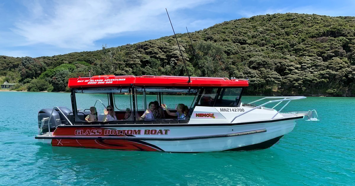 Paihia Glass Bottom Boat Tour to the Hole in the Rock GetYourGuide