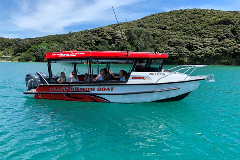 Paihia : Tour en bateau à fond de verre vers le trou dans le rocherPaihia: excursion en bateau à fond de verre jusqu'au trou dans le rocher