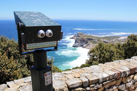 From Cape Town: Cape Peninsula Private Tour & Penguin Colony