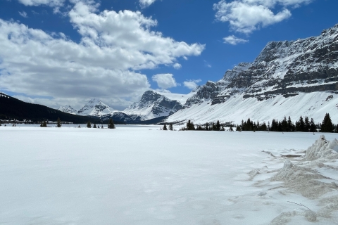 Van Banff: Icefield Parkway Scenic Tour met toegang tot het park