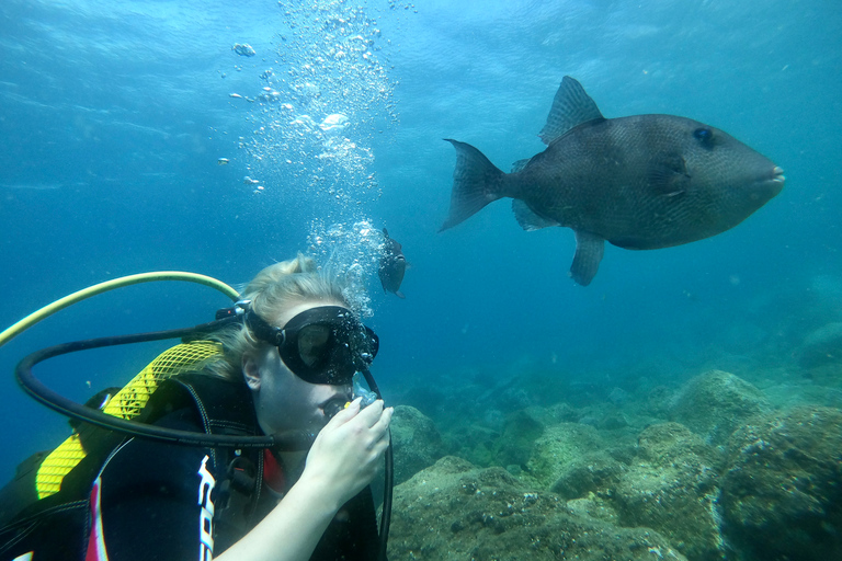 Santa Cruz de Tenerife: Novice Scuba Diving License Course